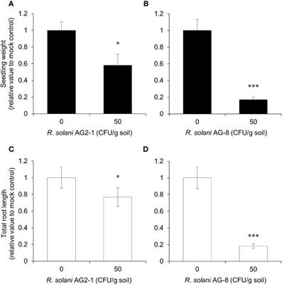 Purinoceptor P2K1/DORN1 Enhances Plant Resistance Against a Soilborne Fungal Pathogen, Rhizoctonia solani